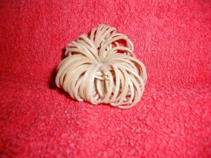 Copie de pitchcaou.jpg (23022 octets)